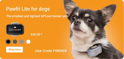 Pawfit Dog GPS Trackers