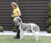 Training Class 4